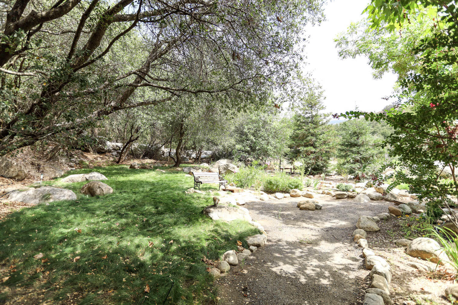 45314 Blue Ridge Drive Springville, CA 93265 - Photo 94 of 111 Large meadow like yard area with easy care grass...no mowing necessary.