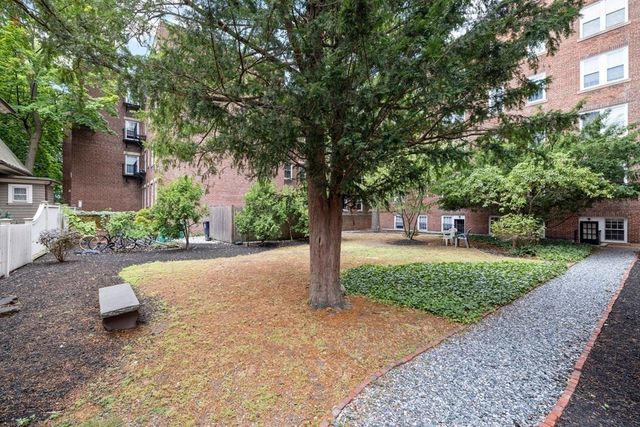 a view of a tree in front of a house