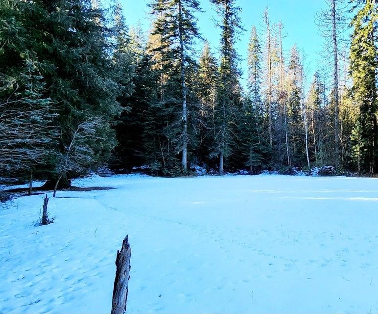3368 Deep Lake Boundary Road Colville, WA 99114 - Photo 40 of 47 Gallery Image 40
