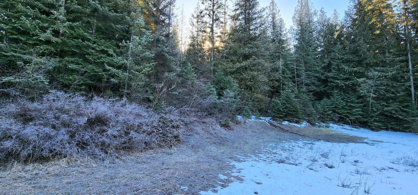 3368 Deep Lake Boundary Road Colville, WA 99114 - Photo 41 of 47 Gallery Image 41