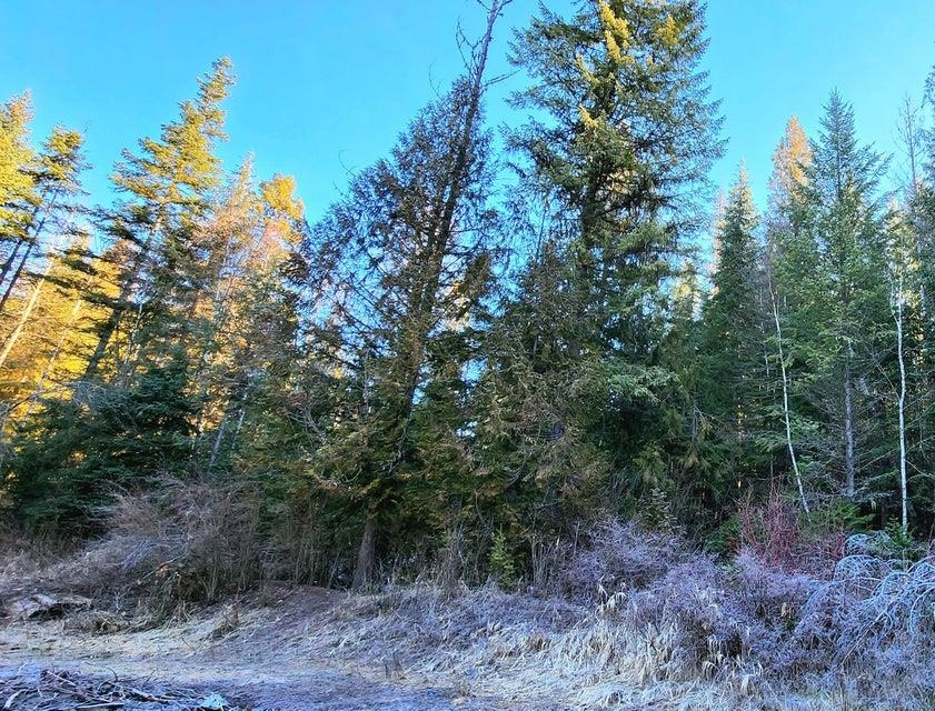 3368 Deep Lake Boundary Road Colville, WA 99114 - Photo 42 of 47 Gallery Image 42
