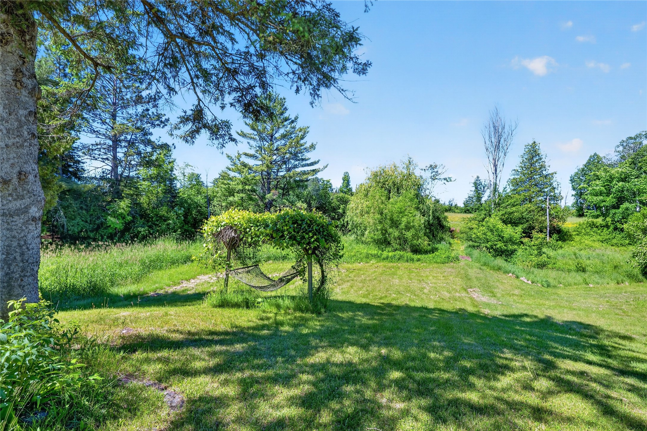 68479 County Highway High Bridge, WI 54846 - Photo 40 of 58