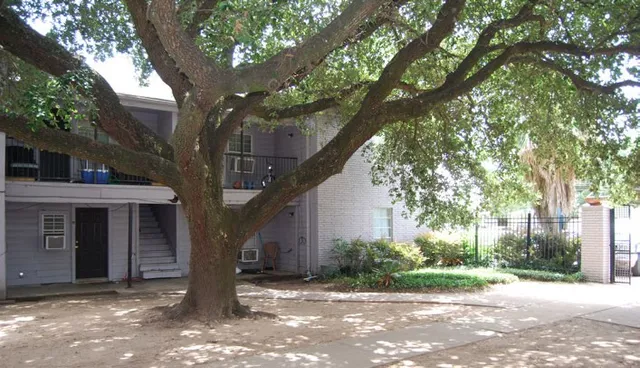 a view of a house with a tree in front