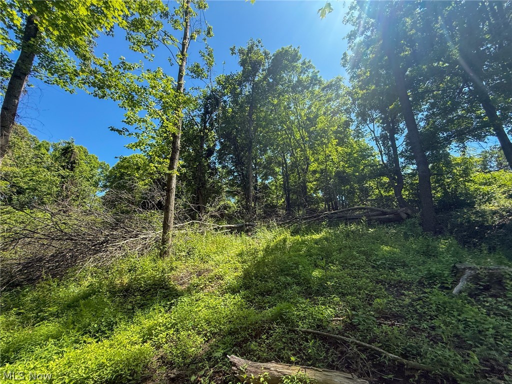 Lot 4 Altamont Road Mingo Junction, OH 43938 - Photo 20 of 27 Gallery Image 20