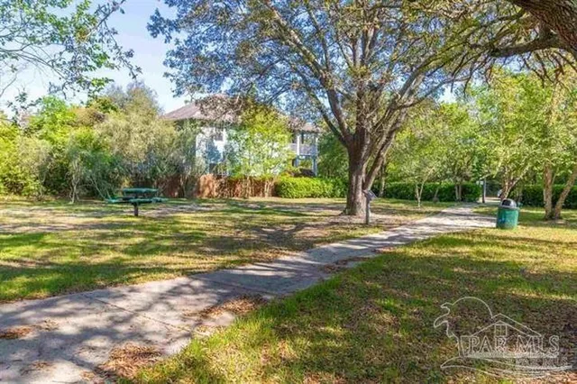 a view of a trees in a yard with large trees