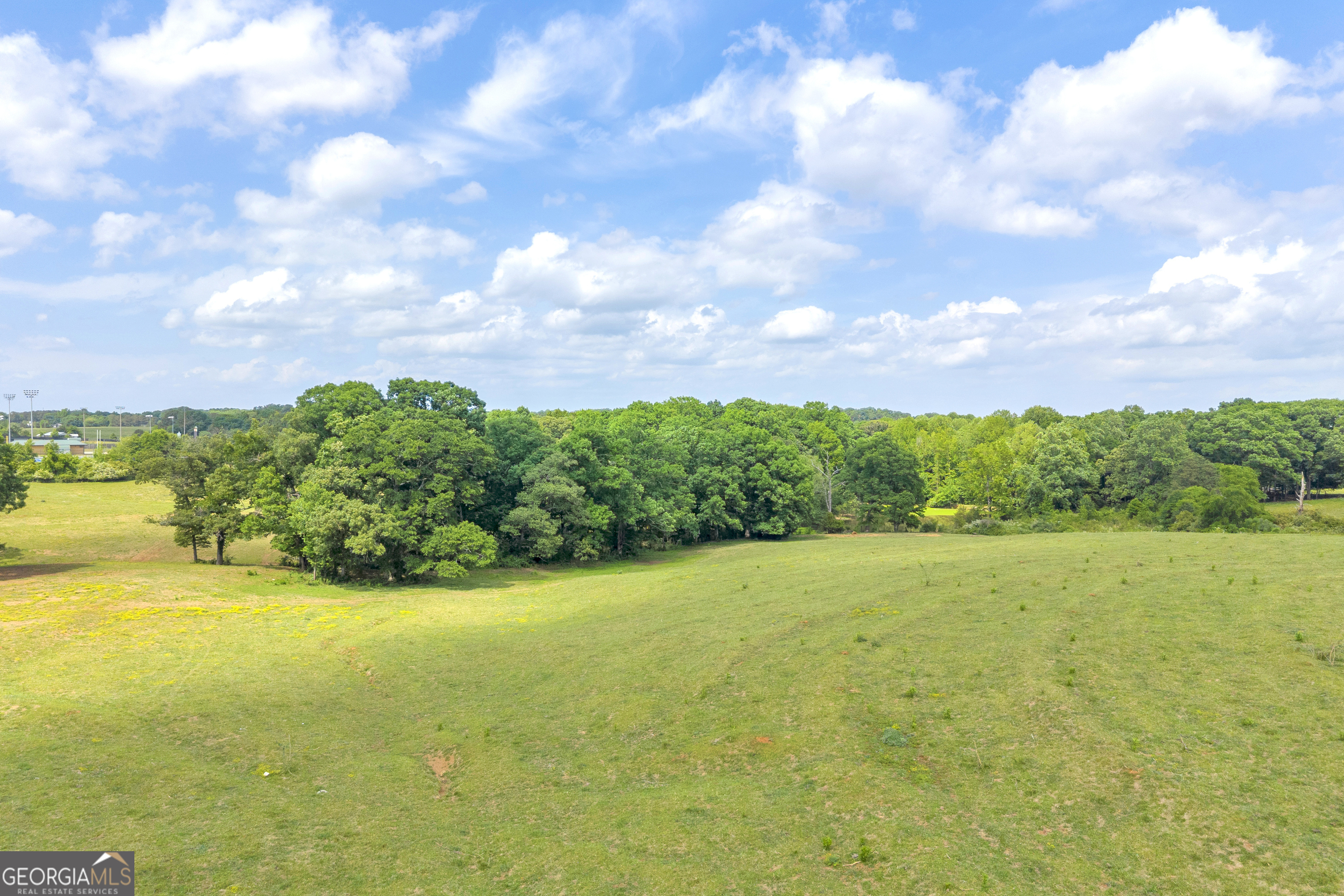 6490 Highway 145 Carnesville, GA 30521 - Photo 27 of 29 a view of an ocean and a yard