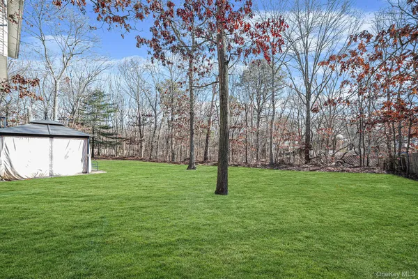 a view of a park with a tree