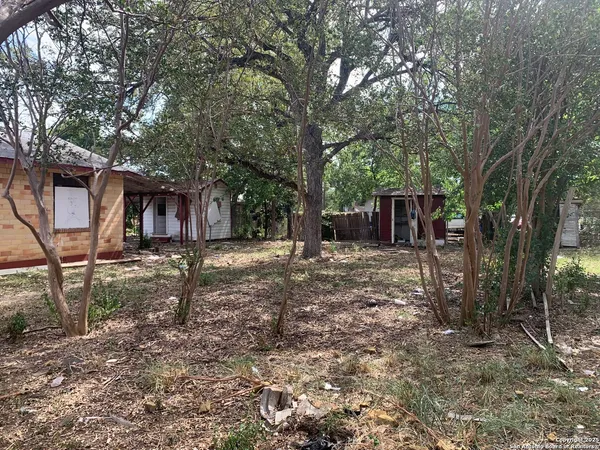 front view of a house with a tiny house and a trees