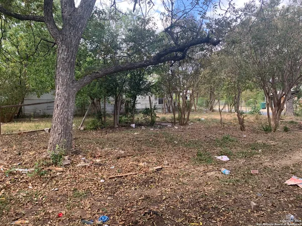 a view of outdoor space with lots of trees