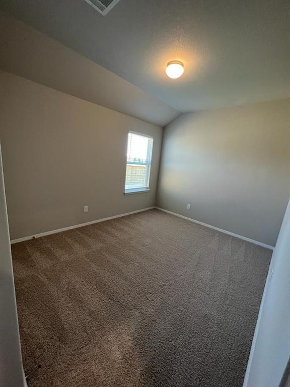 105 Spiny Lizard Lane San Marcos, TX 78666 - Photo 28 of 34 Empty room featuring carpet and vaulted ceiling