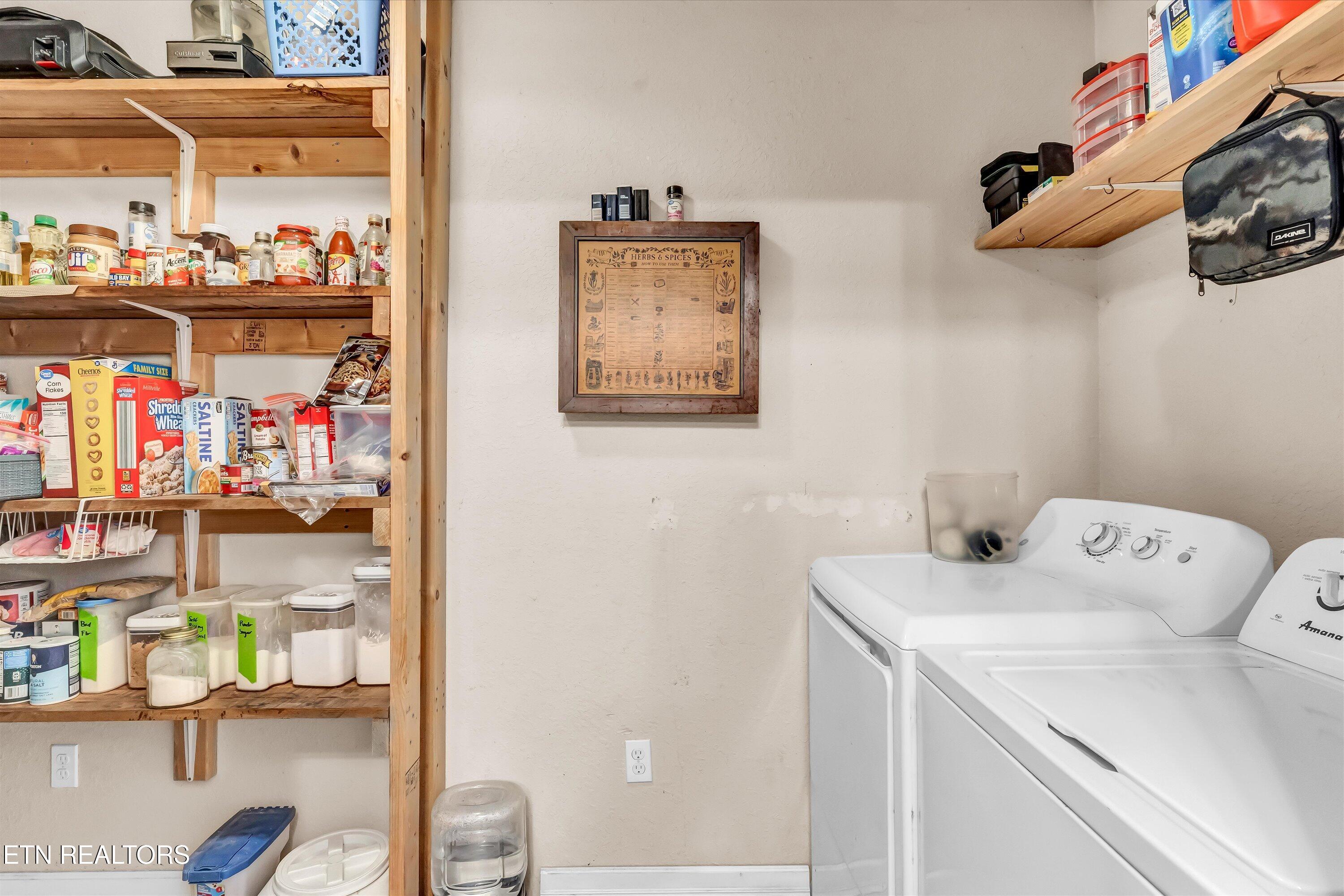 176 Old Collins Road Deer Lodge, TN 37726 - Photo 19 of 50 19-176 Old Collins Tpk-19