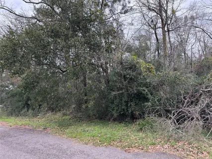 $24,500 | Lot 29-30 Dove Island, Livingston, TX 77351