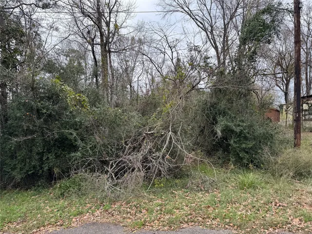 $29,500 | Lot 29-30 Dove Island, Livingston, TX 77351