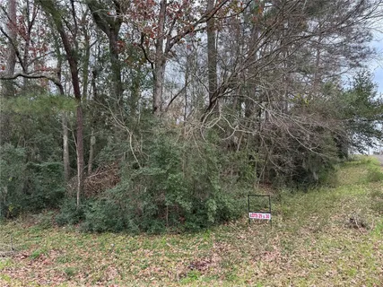 $24,500 | Lot 29-30 Dove Island, Livingston, TX 77351