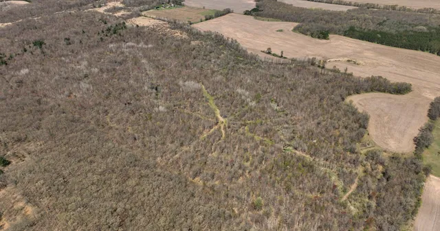 $1,375,000 | 0 Hwy 03 Strum Wi 54738, Eleva, WI 54738