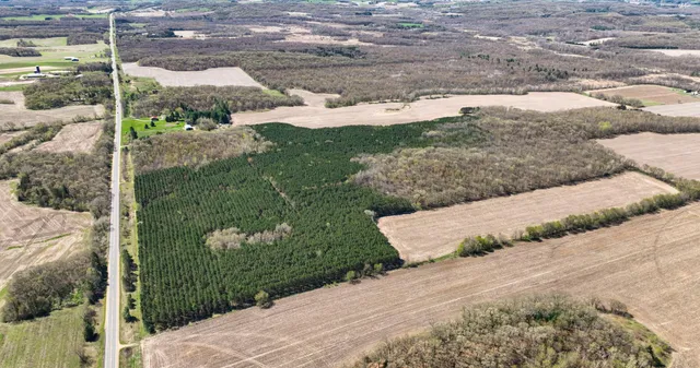 $1,375,000 | 0 Hwy 03 Strum Wi 54738, Eleva, WI 54738