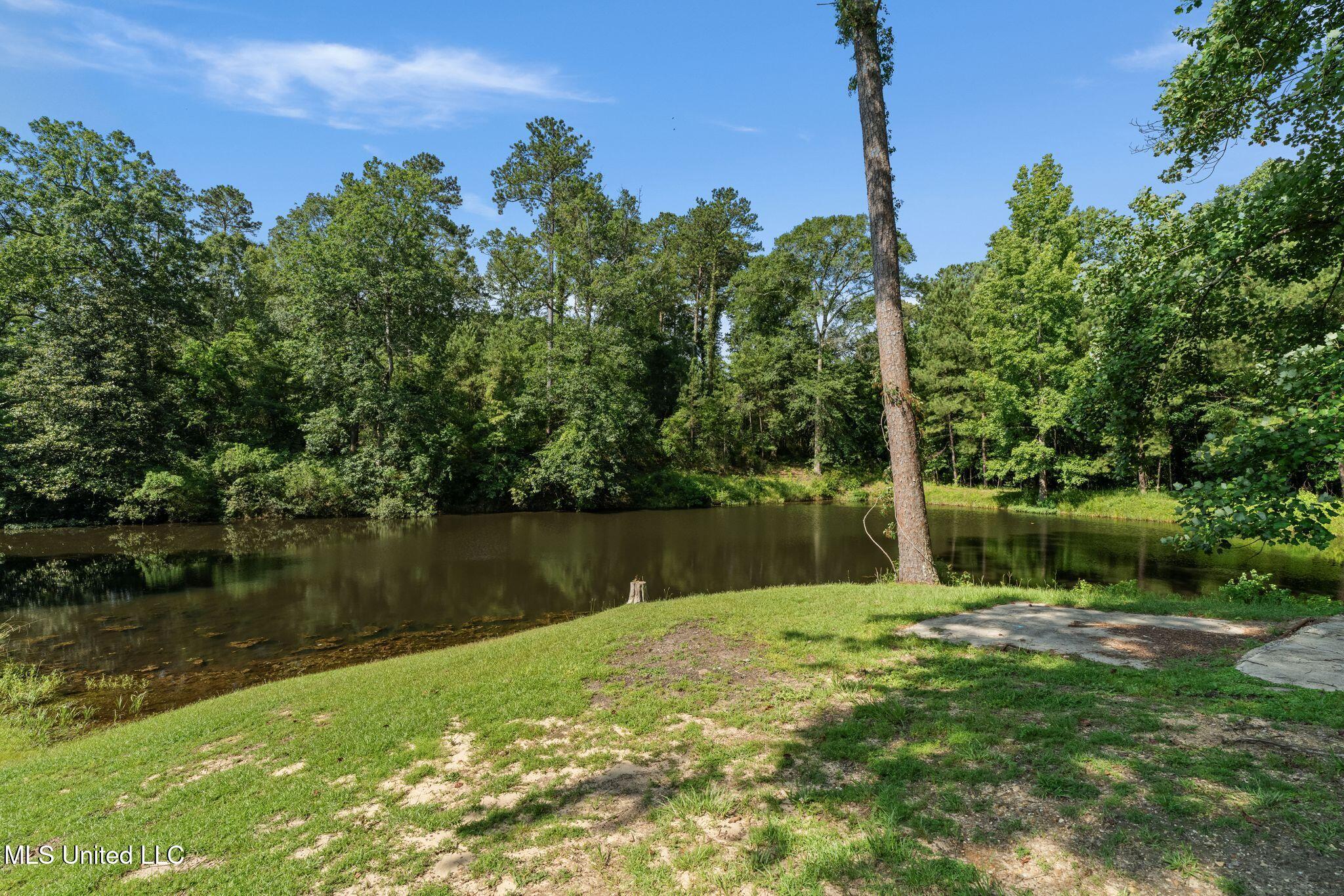 725 Hillcrest Loop Petal, MS 39465 - Photo 59 of 70 725_Hillcrest_Loop-59