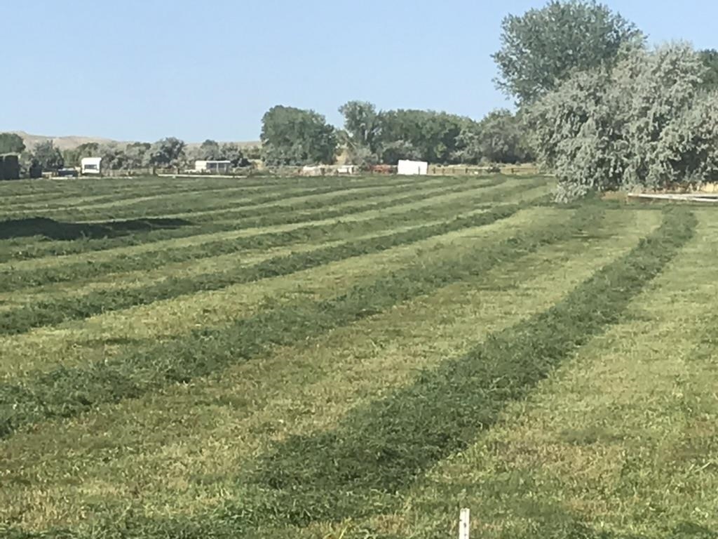 675 Burma Road Riverton, WY 82501 - Photo 5 of 50