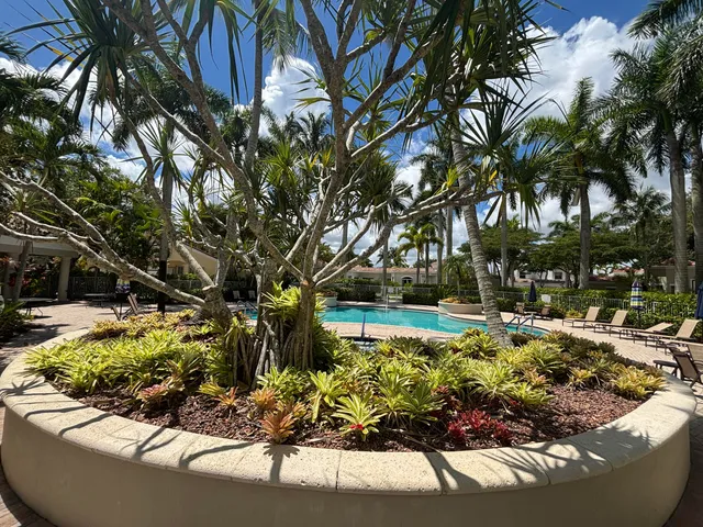 a view of a garden with a tree