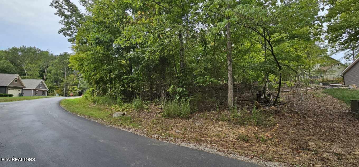 348 Dudala Way Loudon, TN 37774 - Photo 1 of 5 20240910002457818431000000-o