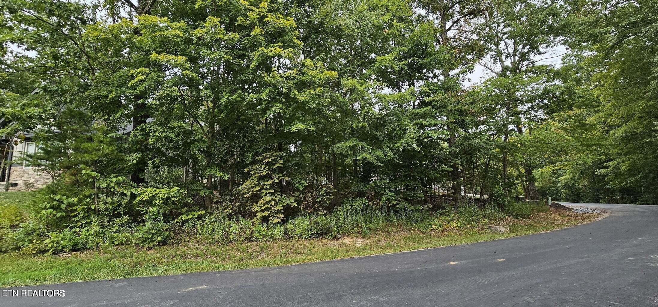 348 Dudala Way Loudon, TN 37774 - Photo 5 of 5 20240910002415820132000000-o