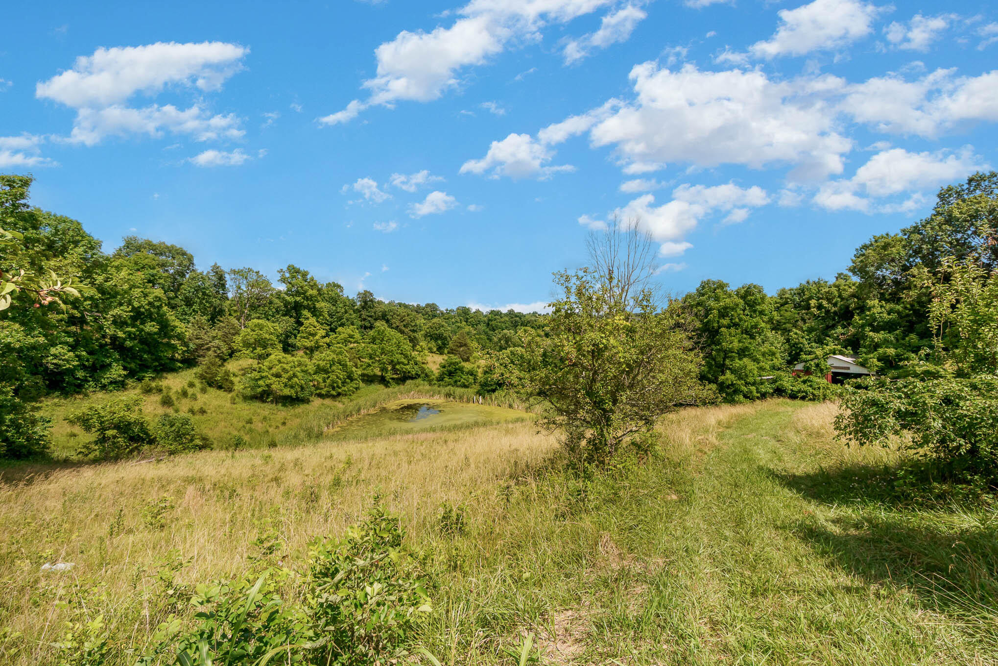 10100 Jonesville Road Dry Ridge, KY 41035 - Photo 34 of 40