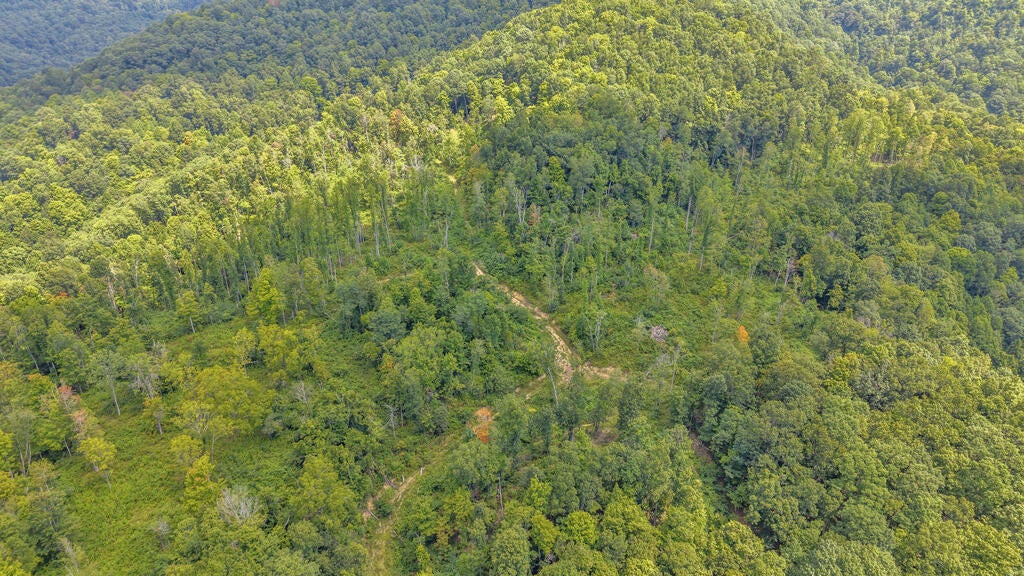0 Wingfield Mountain Road Sandstone, WV 25985 - Photo 12 of 18 Gallery Image 12