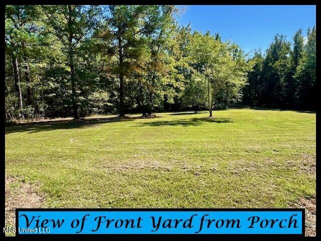 363 John Branch Road Batesville, MS 38606 - Photo 3 of 42 363 JOHN BRANCH - FRONT YARD VIEW FROM P