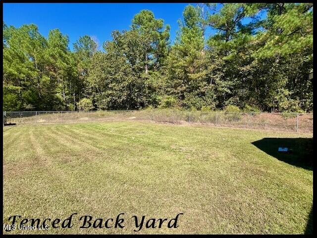 363 John Branch Road Batesville, MS 38606 - Photo 34 of 42 363 JOHN BRANCH - FENCED BACK YARD