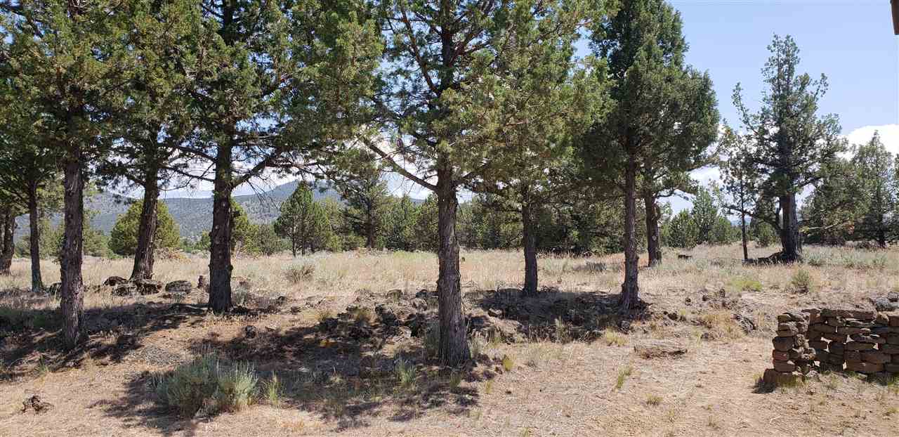 11332 Homeland Road Macdoel, CA 96058 - Photo 11 of 12 Gallery Image 11