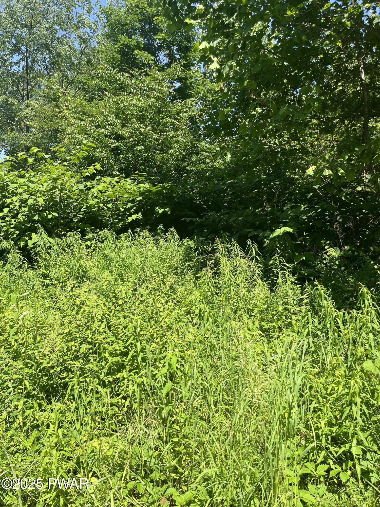 Pine Mill Road Equinunk, PA 18417 - Photo 5 of 5