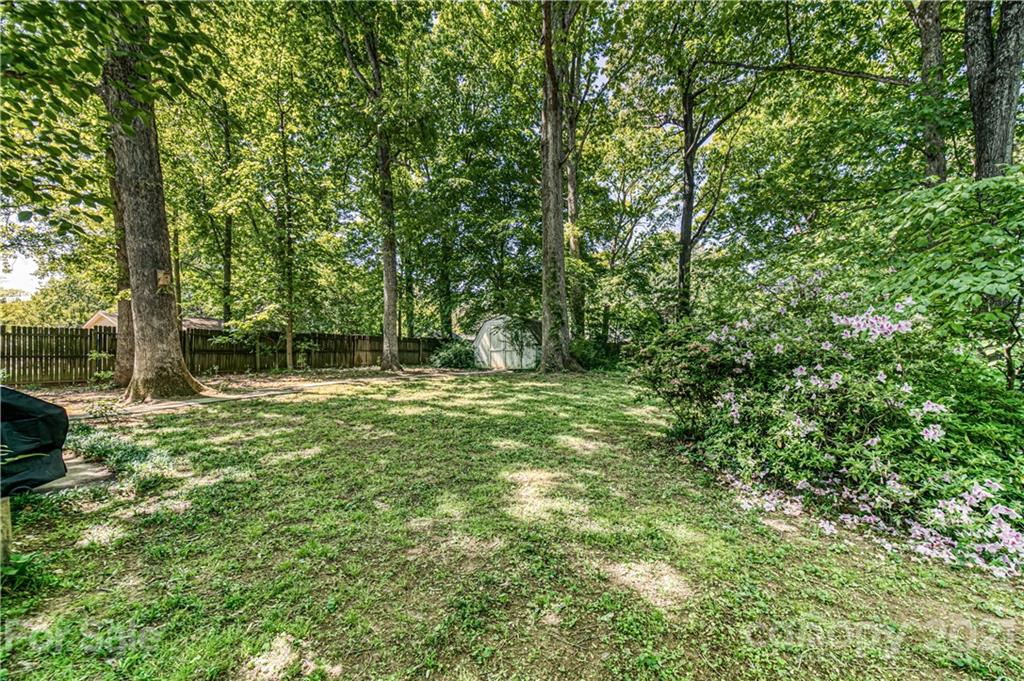 11328 Torino Road Matthews, NC 28105 - Photo 21 of 23 a backyard of a house with lots of green space