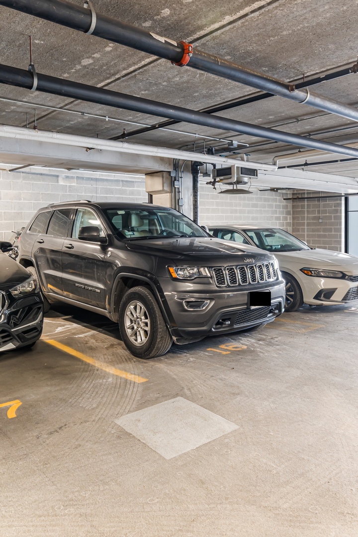 833 West 15th Place, Unit 311 Chicago, IL 60608 - Photo 14 of 17