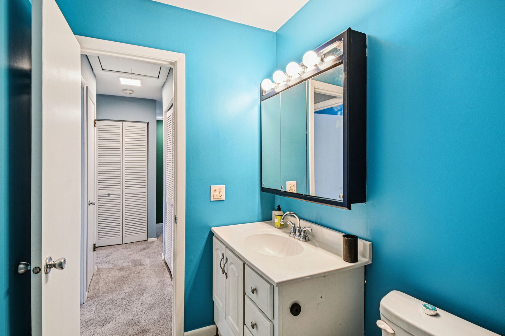 67 Woodhills Bay Road Fox Lake, IL 60020 - Photo 15 of 27 a bathroom with a sink a toilet and mirror