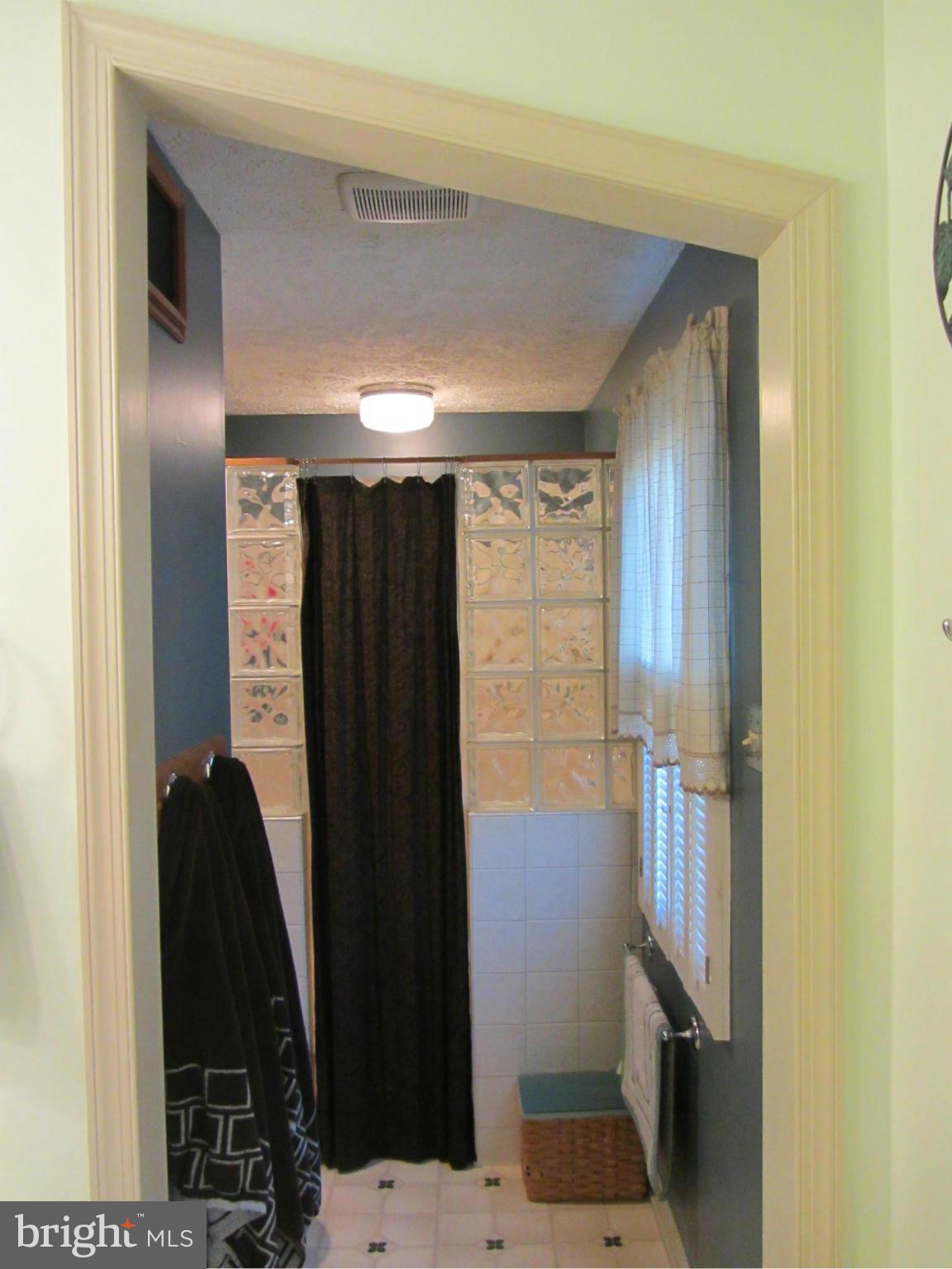 9221 Bretton Reef Road Baltimore, MD 21234 - Photo 18 of 30 Bath (Master)