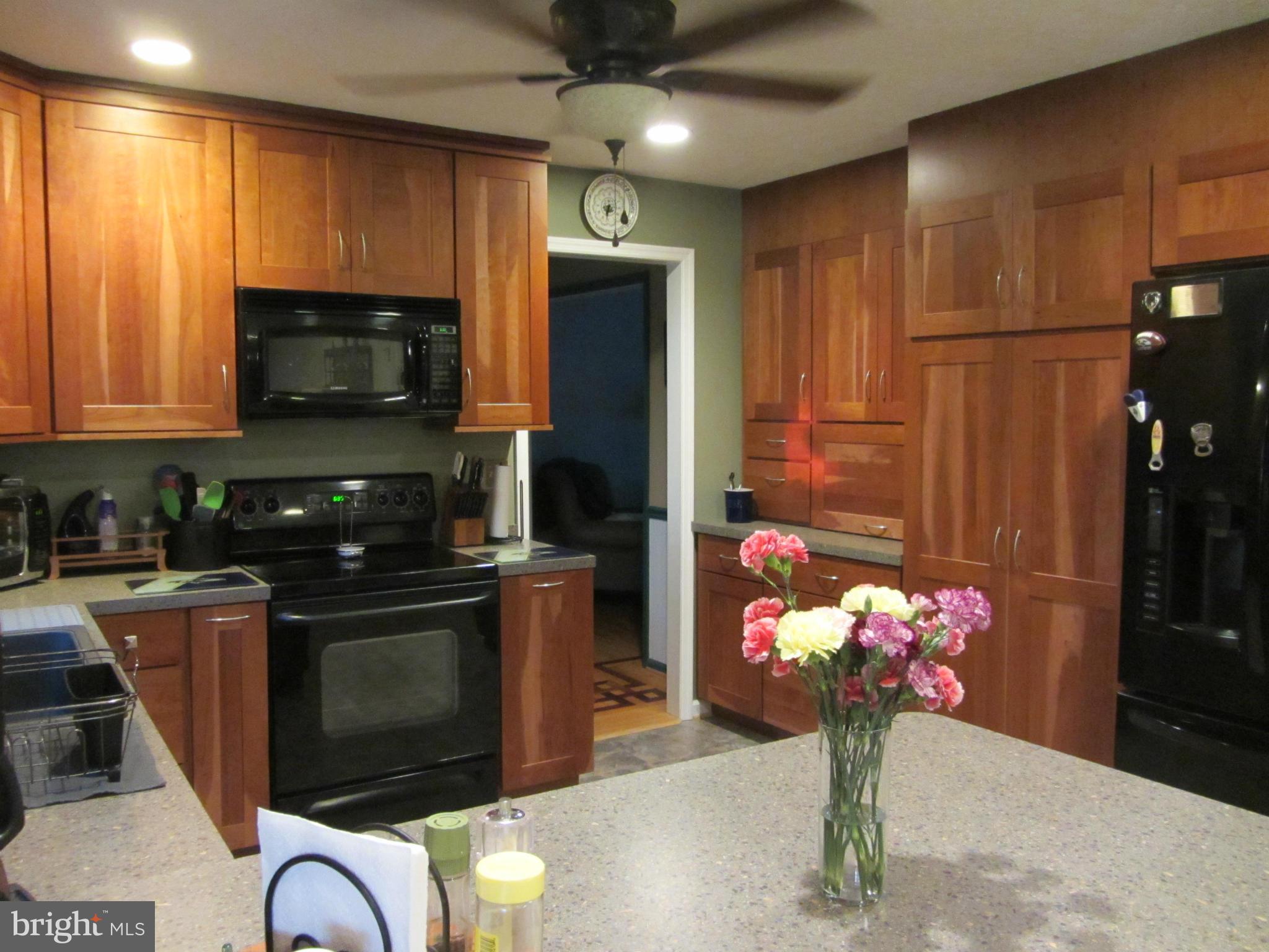 9221 Bretton Reef Road Baltimore, MD 21234 - Photo 7 of 30 Kitchen