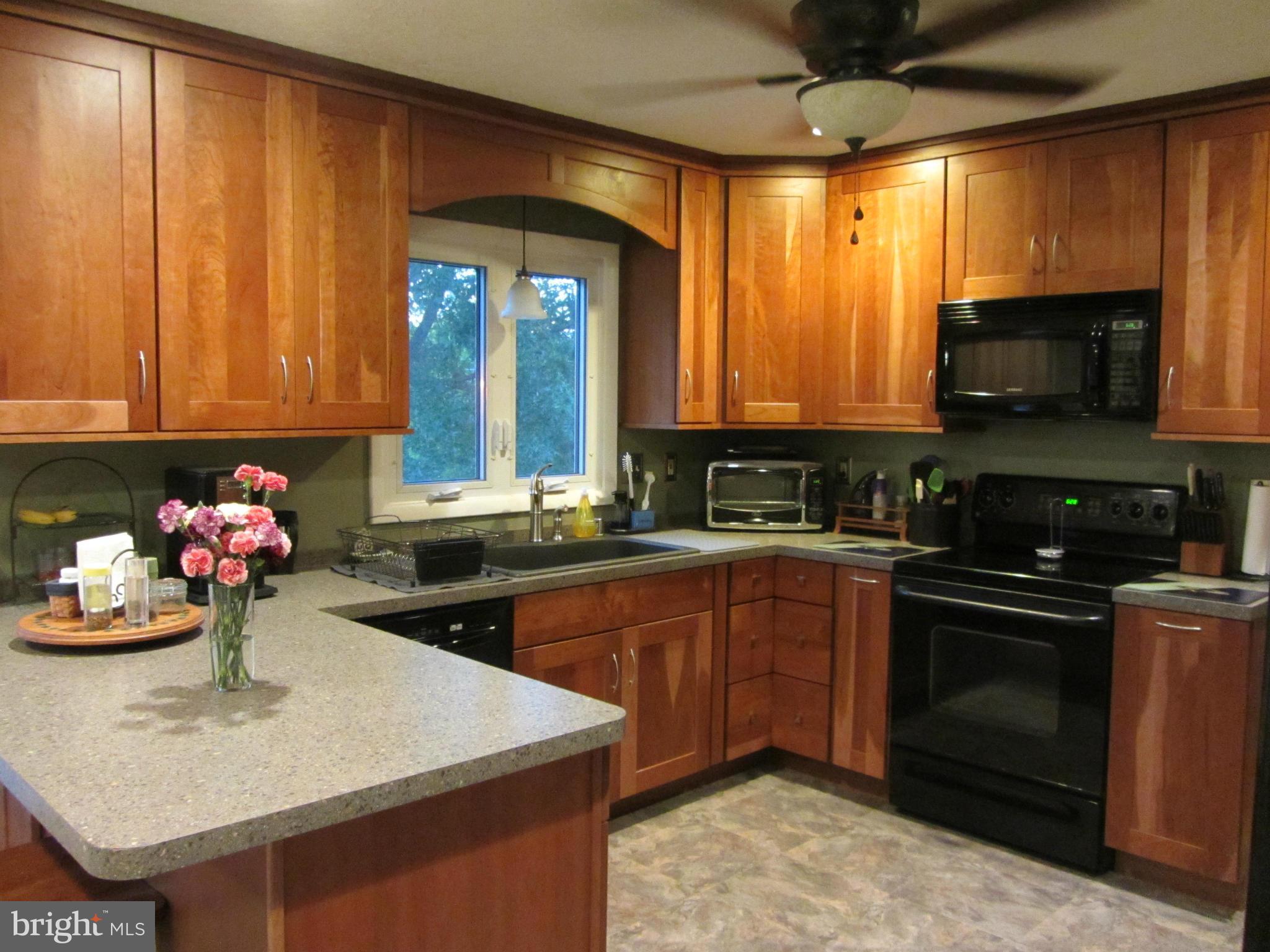 9221 Bretton Reef Road Baltimore, MD 21234 - Photo 9 of 30 Kitchen