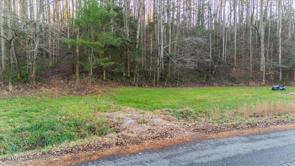 875 Frank Roberts Road, Unit 4 & 5 Afton, TN 37616 - Photo 1 of 36 05-DJI_20251213165233_0910_D