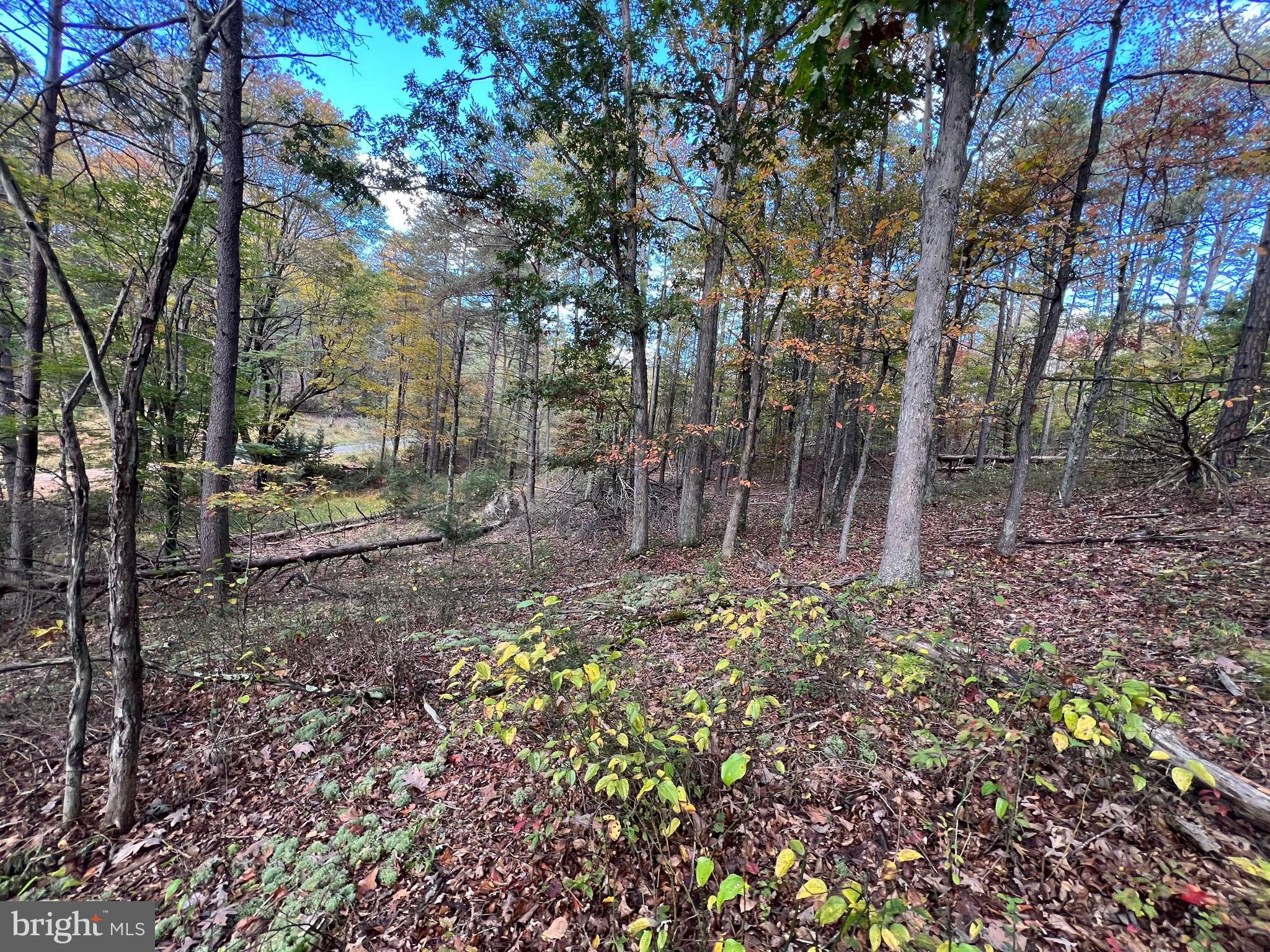 Lot 6 Deep Run Hollow Road Delray, WV 26714 - Photo 8 of 18 a backyard of a house with lots of green space
