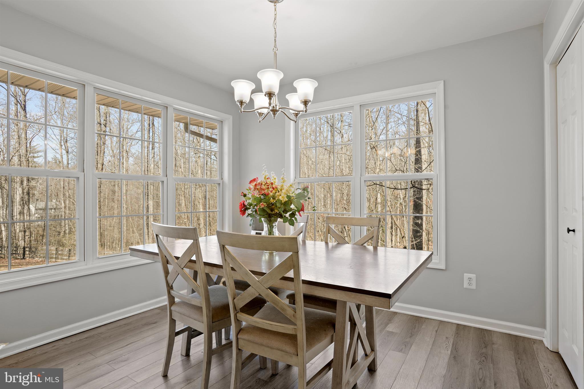 4049 Cabin Road Reva, VA 22735 - Photo 16 of 39