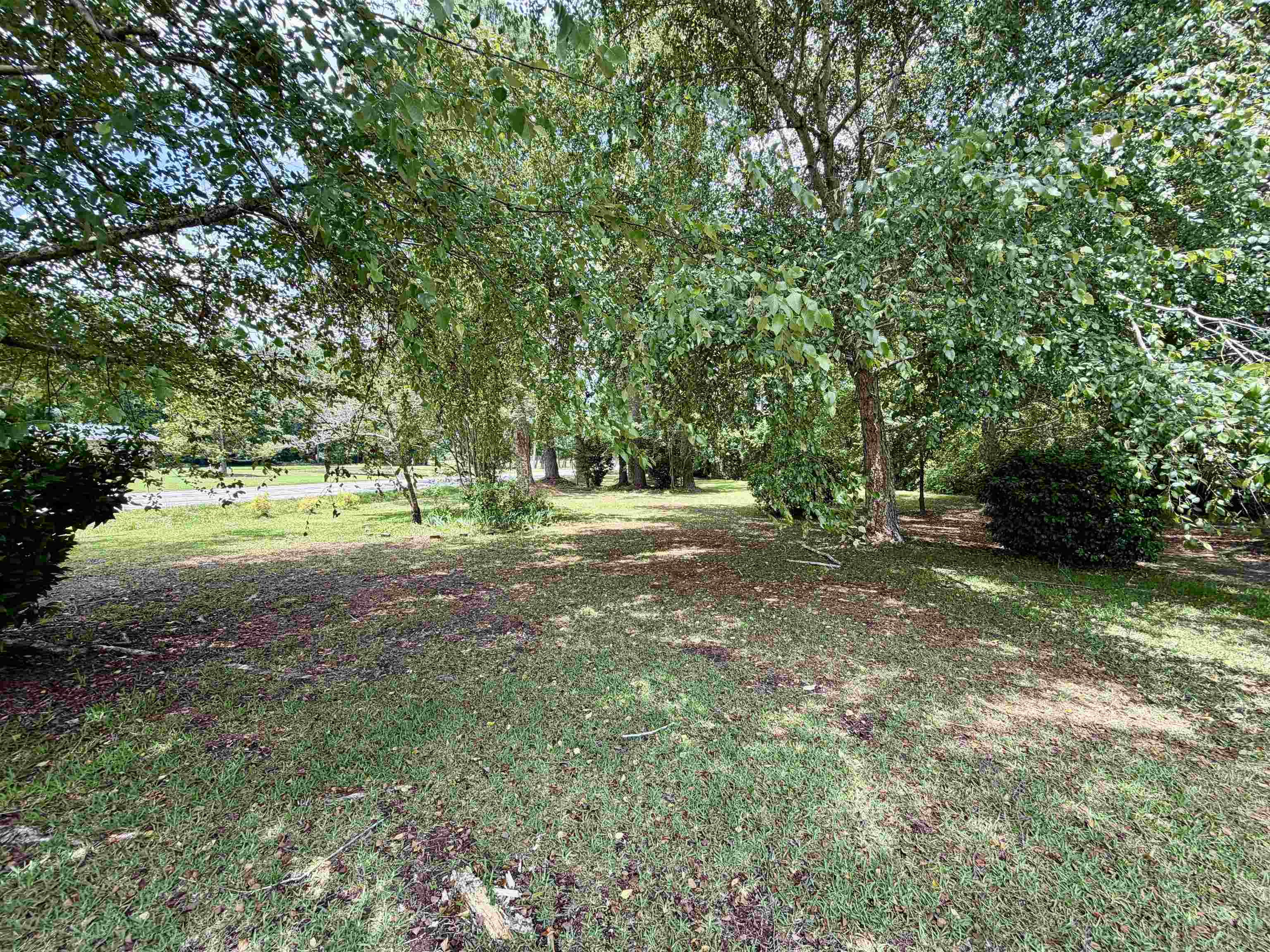 3240 Mt Olive Road Loris, SC 29569 - Photo 23 of 26