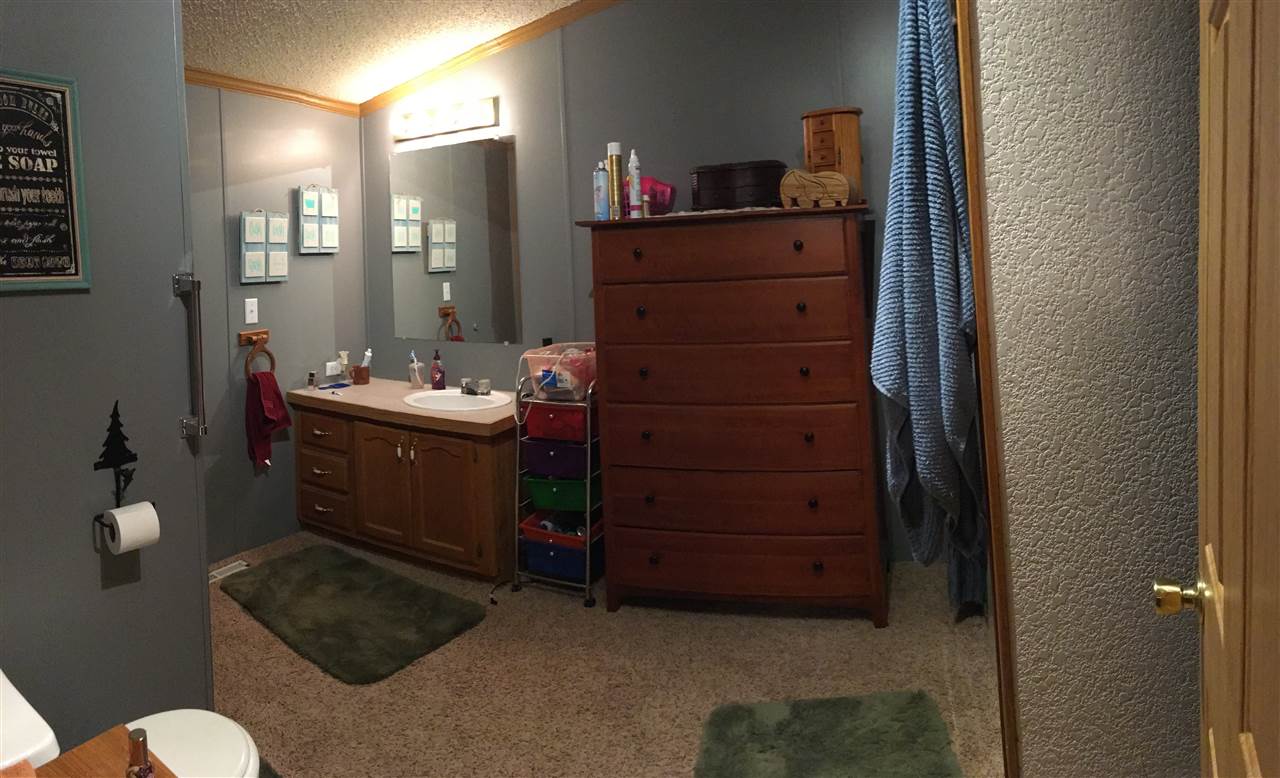 1860 Deep River Road Standish, MI 48658 - Photo 31 of 58 1868975-31.JPG