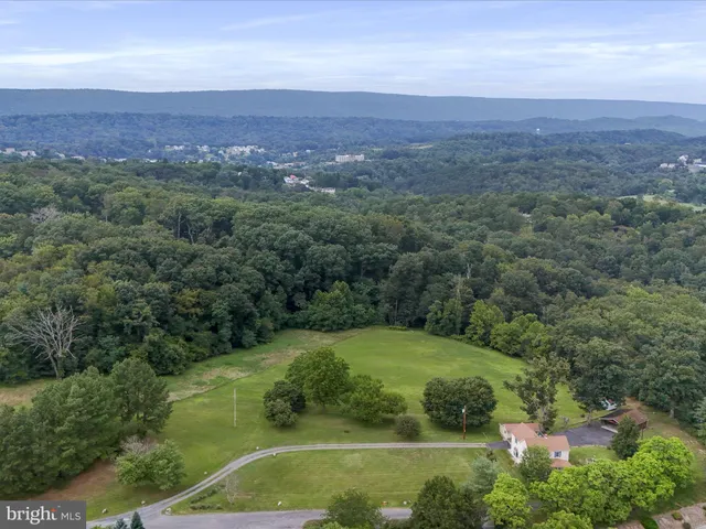 a view of a lush green field