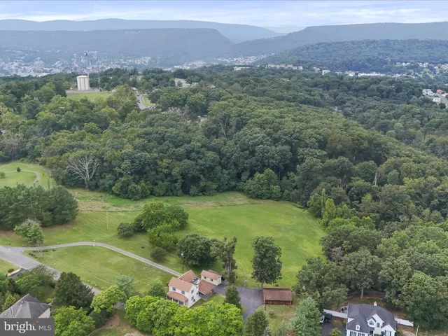 a view of a lush green hillside and a houses