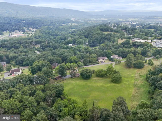 an aerial view of residential houses with outdoor space and trees