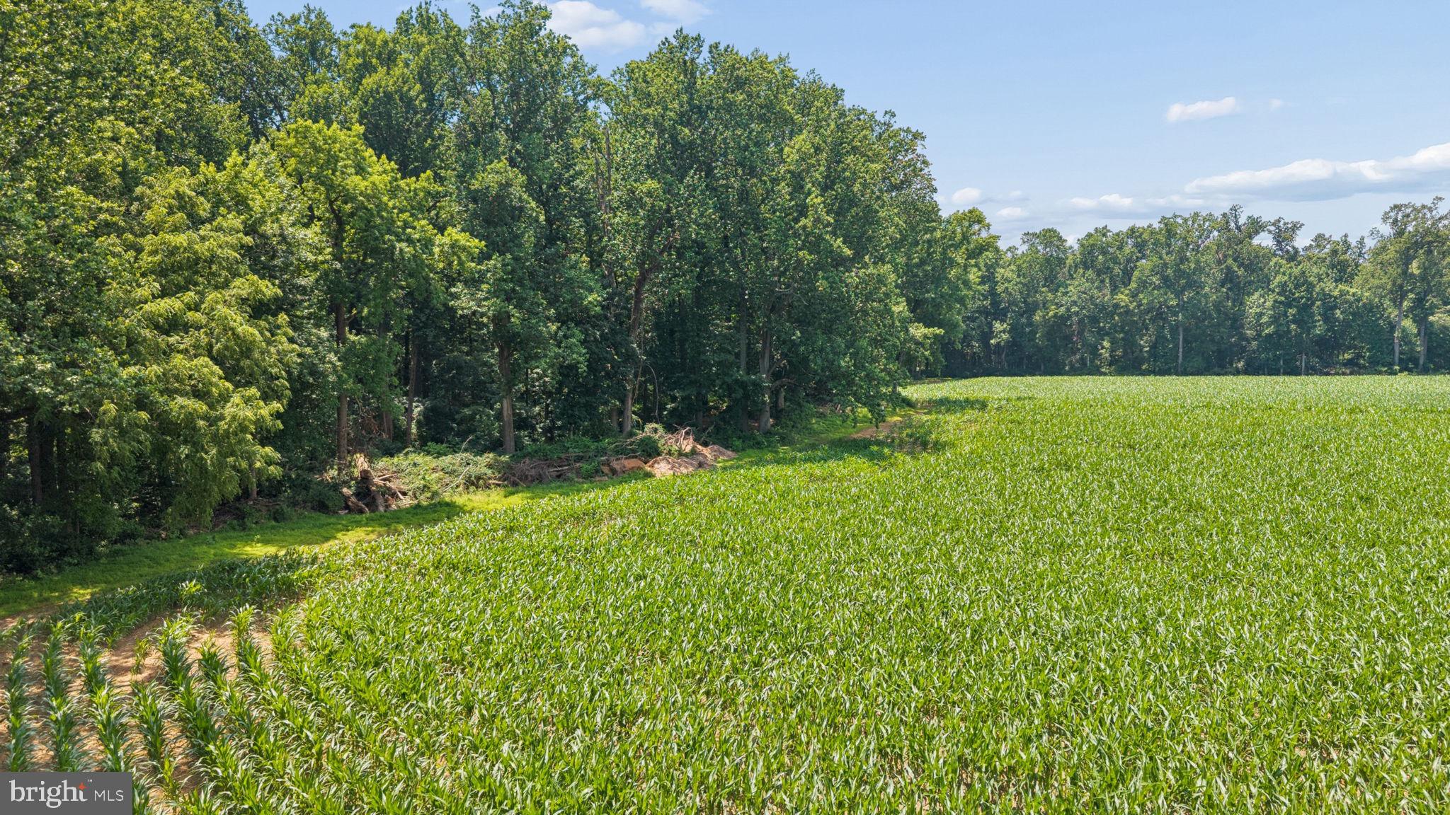 7219 New Cut Road Kingsville, MD 21087 - Photo 23 of 59 Gallery Image 23