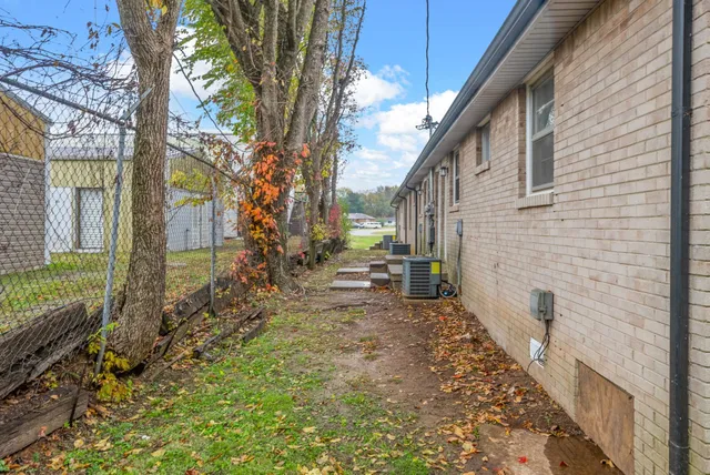 a view of a yard with plants and a large tree