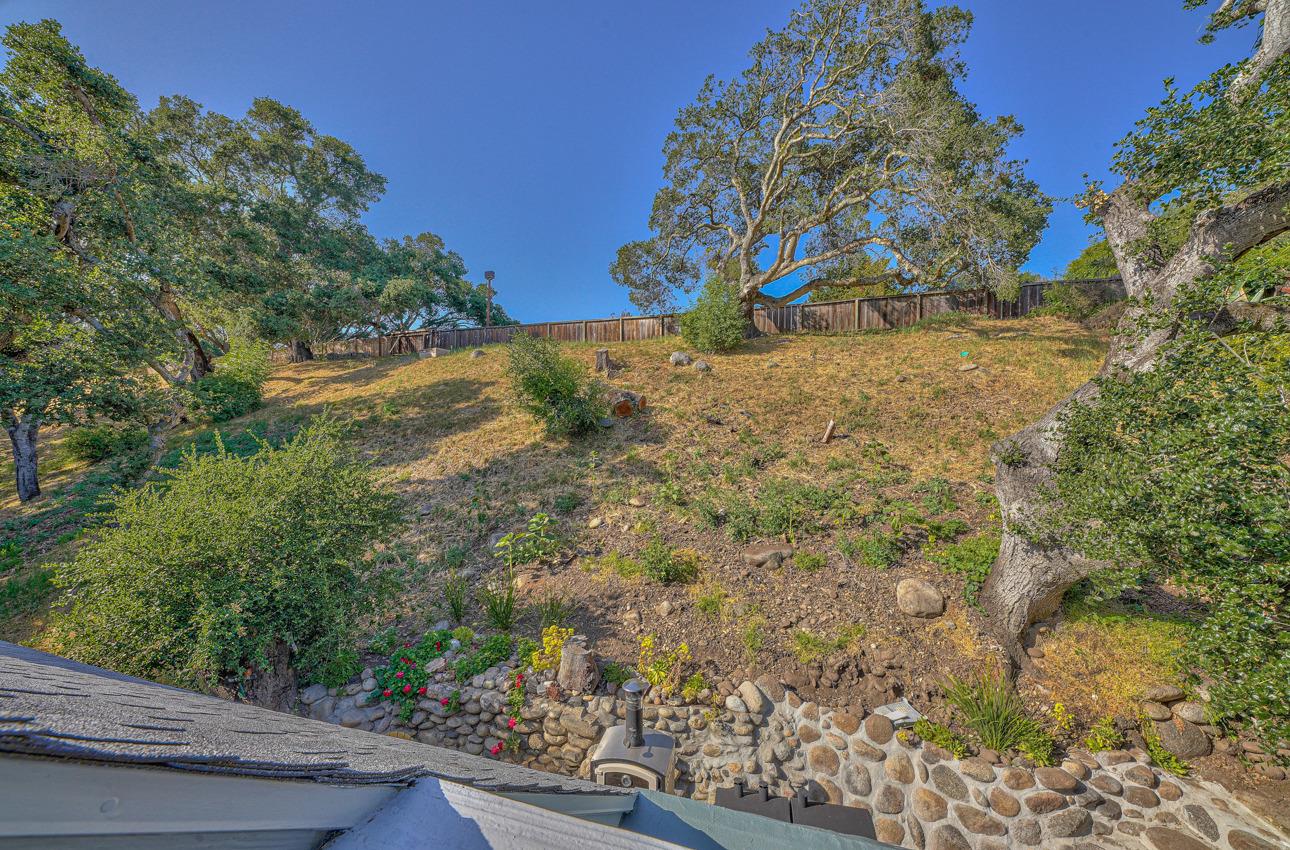 7 Paso Cresta Carmel Valley, CA 93924 - Photo 30 of 44 a view of a yard with plants and trees