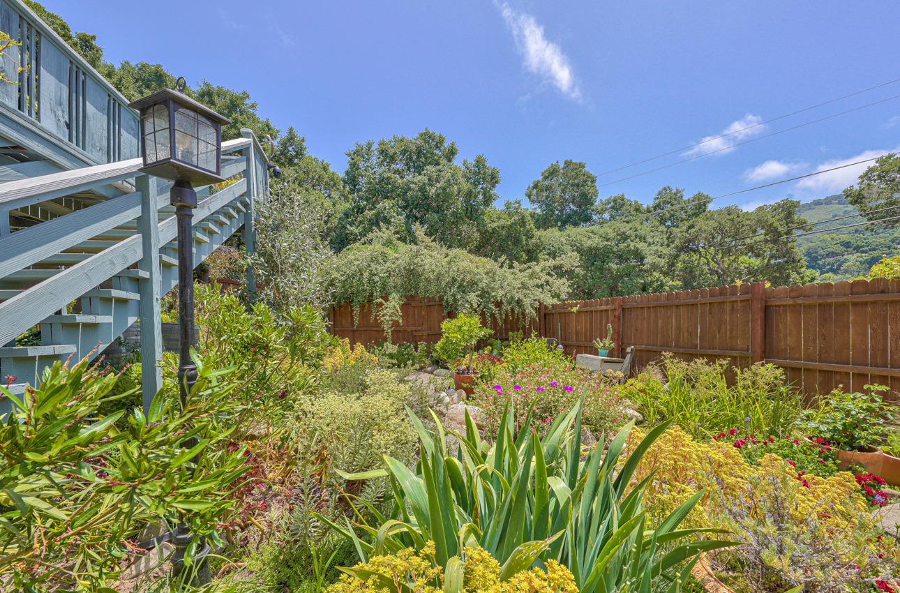 7 Paso Cresta Carmel Valley, CA 93924 - Photo 6 of 44 a view of a yard with plants