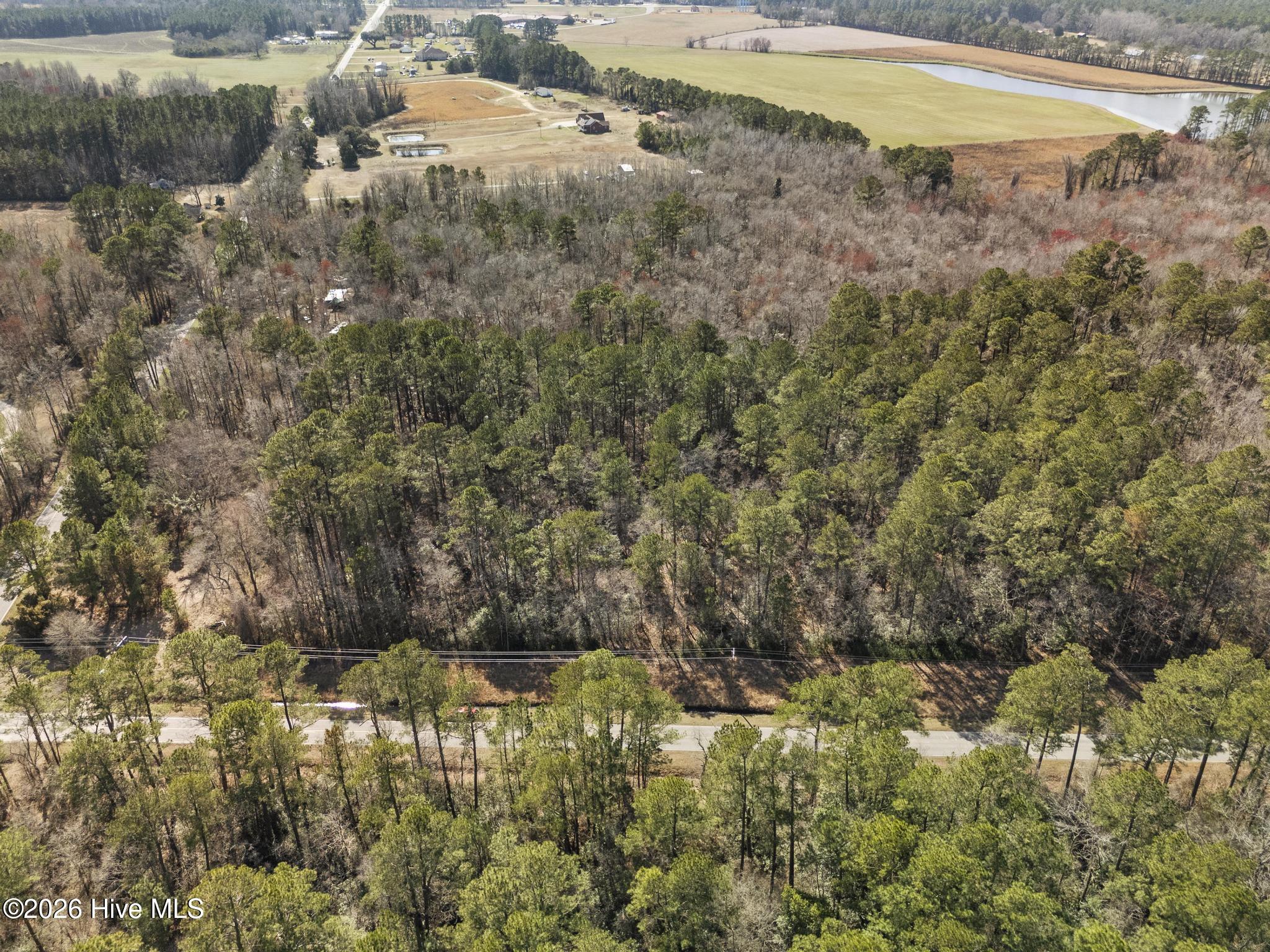 1 R Page (crabtree) Road Burgaw, NC 28425 - Photo 8 of 19 DJI_20260306142023_0332_D